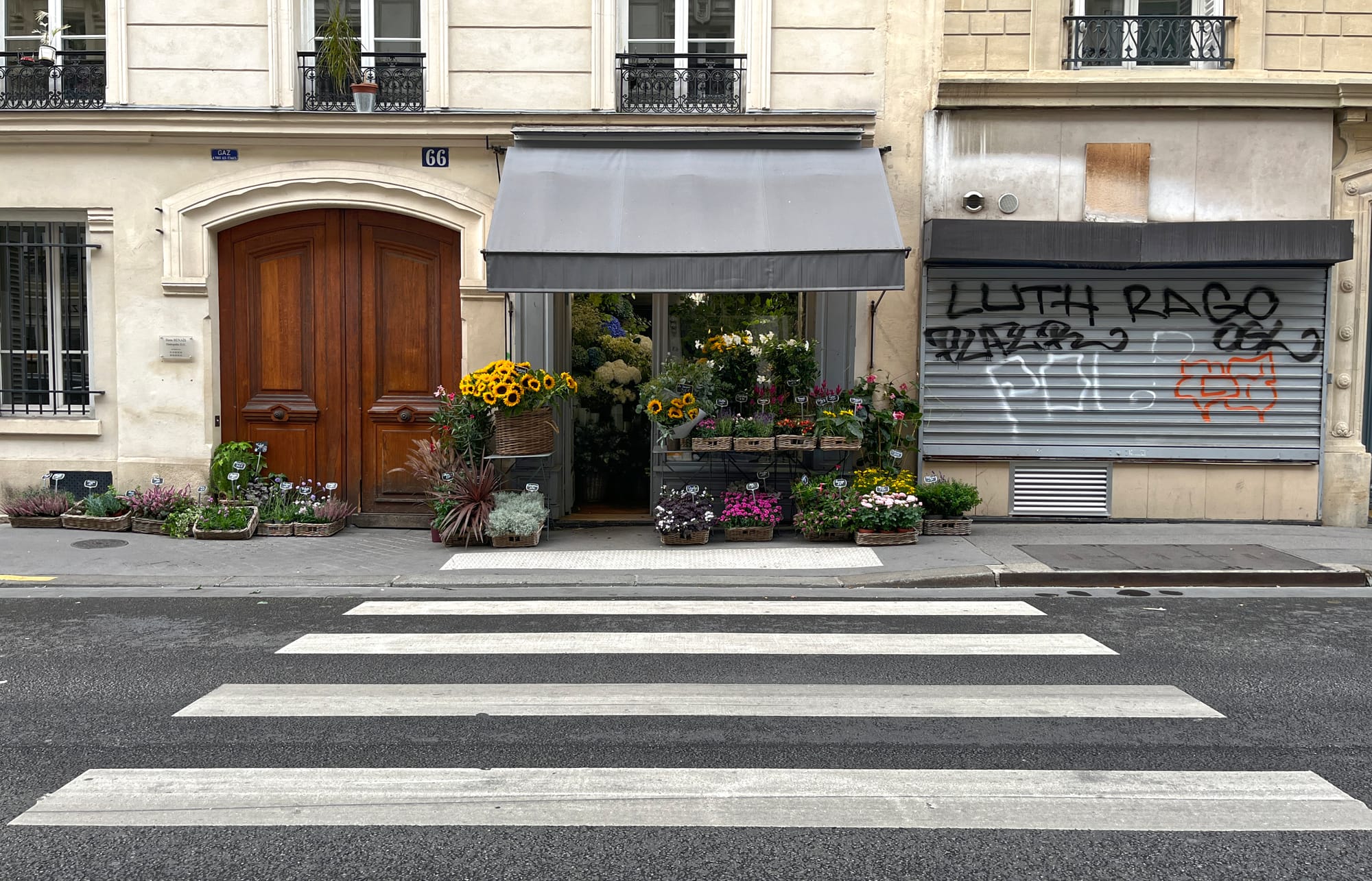 Flower shop in Paris